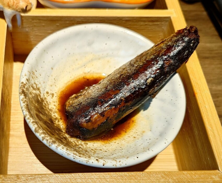 台北市大安區[分享]廣受女性朋友喜愛的又洋溢著獨特貓系個性的貓吧NEKKO BAR