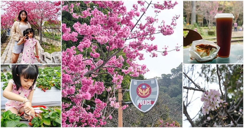 台中市北區台中北區美食|林記古早味杏仁茶-飄香25年的好味道,醇香杏仁茶配油條,還有不少人必點的惡魔土司!