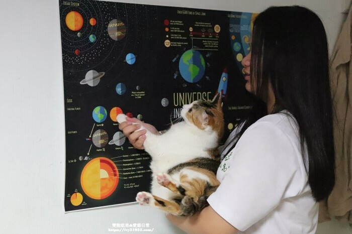 高雄市左營區韓國爆紅烤棉花糖冰淇淋 –  柒佐 烤棉花糖冰淇淋 來瑞豐夜市夏日必推