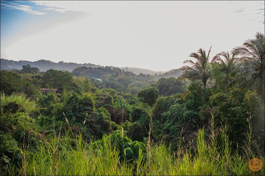 彰化縣花壇鄉彰化夜景餐廳推薦｜台139泡腳秘境：轉角秘密基地（無電話預約，平.假日皆為現場候位）