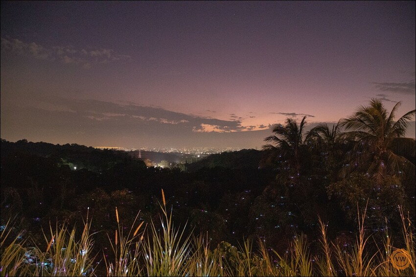 彰化縣花壇鄉彰化夜景餐廳推薦｜台139泡腳秘境：轉角秘密基地（無電話預約，平.假日皆為現場候位）