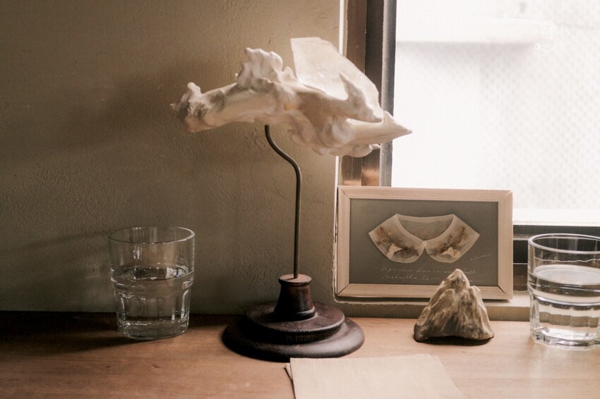 台中中區｜隱身舊城區日式昭和氛圍咖啡廳，季節限定草莓甜點一次