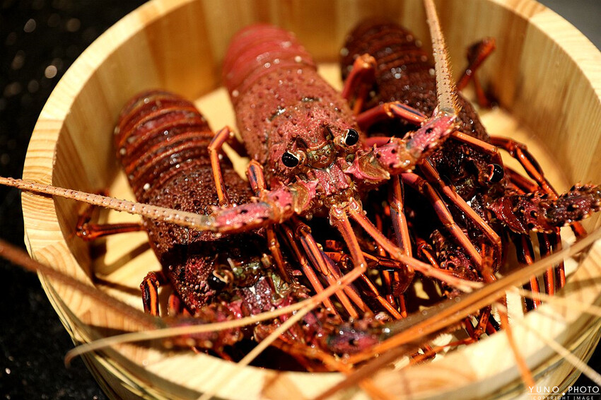新北市林口區超高CP值！活體龍蝦、日本A5和牛、南非鮑魚、北海道生食級干貝通通有