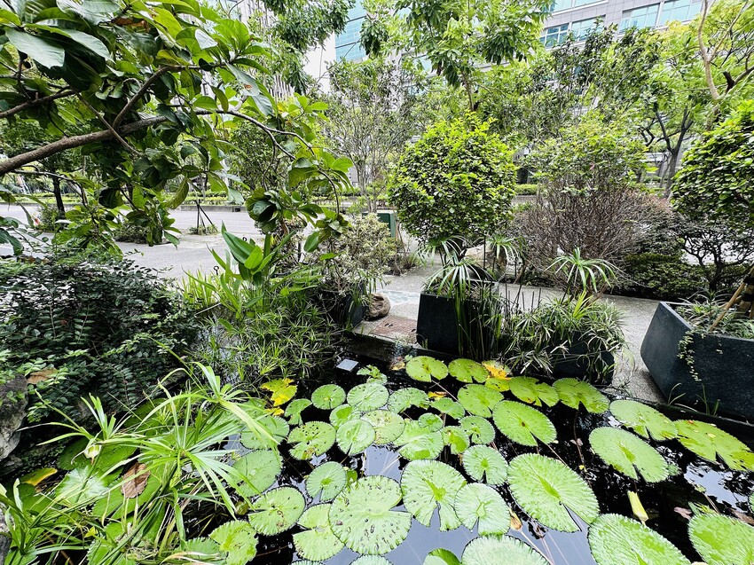 【Poetry如詩】台北大直美食推薦!佔地百坪用餐環境,約會 【Poetry如詩】台北大直美食推薦!佔地百坪用餐環境,約會