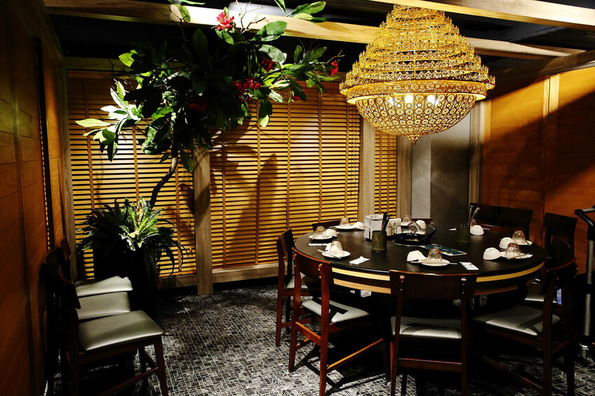 新開幕!泰滾泰式火鍋桃園店,偽出國!熱帶叢林島嶼度假風,霸氣 新開幕!泰滾泰式火鍋桃園店,偽出國!熱帶叢林島嶼度假風,霸氣