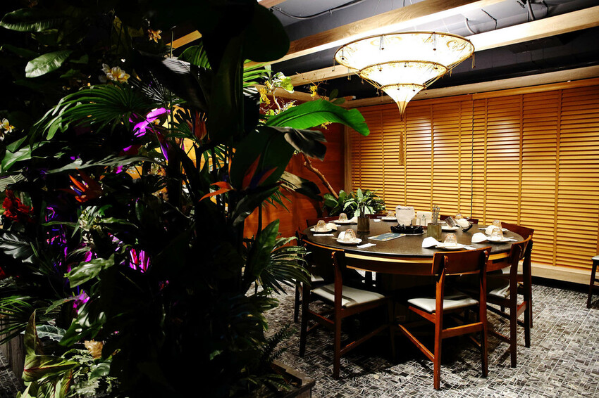 新開幕!泰滾泰式火鍋桃園店,偽出國!熱帶叢林島嶼度假風,霸氣 新開幕!泰滾泰式火鍋桃園店,偽出國!熱帶叢林島嶼度假風,霸氣