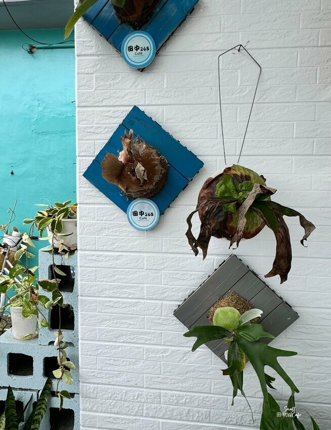 白色鄉村風咖啡甜點店【田中268 Café】不論晴雨都能浪漫 白色鄉村風咖啡甜點店【田中268 Café】不論晴雨都能浪漫