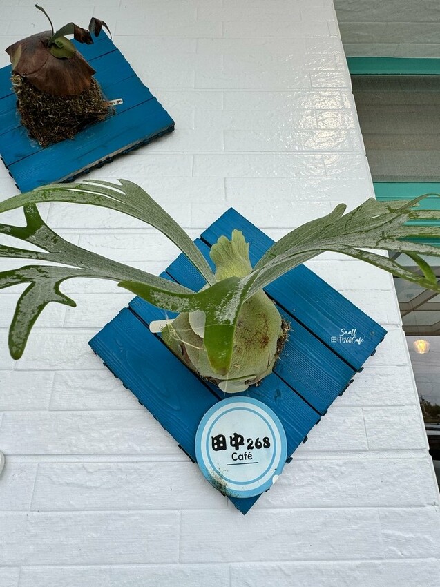 白色鄉村風咖啡甜點店【田中268 Café】不論晴雨都能浪漫 白色鄉村風咖啡甜點店【田中268 Café】不論晴雨都能浪漫