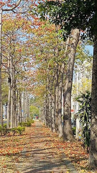 IMG_6495.jpg IMG_6495.jpg