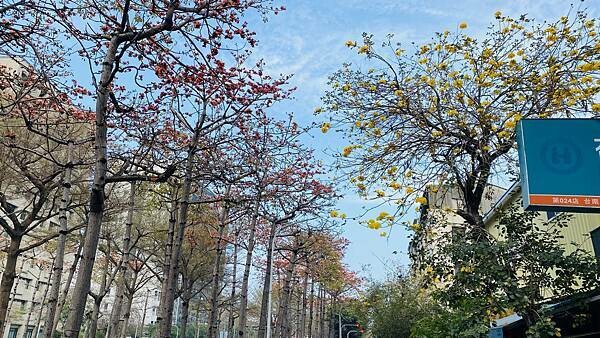 IMG_6470.jpg IMG_6470.jpg