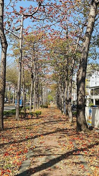 IMG_6501.jpg IMG_6501.jpg