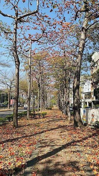 IMG_6497.jpg IMG_6497.jpg