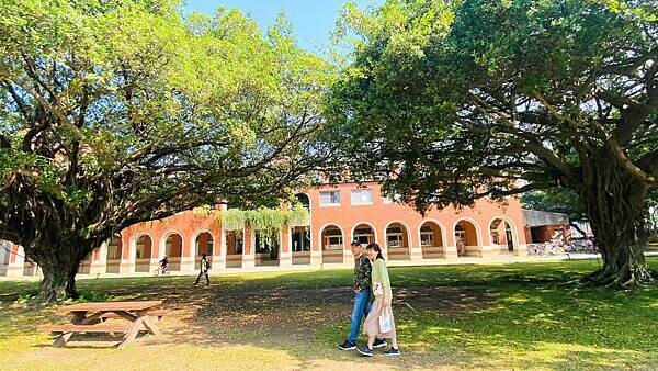 IMG_6486 (1).jpg IMG_6486 (1).jpg