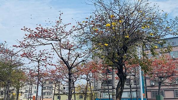 IMG_6463.jpg IMG_6463.jpg