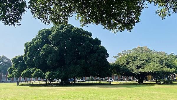 IMG_6477.jpg IMG_6477.jpg