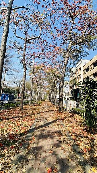 IMG_6500.jpg IMG_6500.jpg