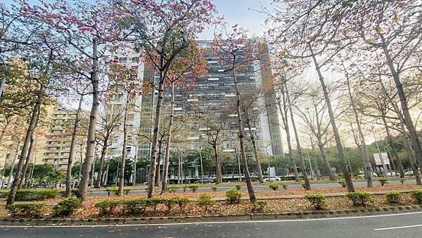 IMG_6174.jpg IMG_6174.jpg