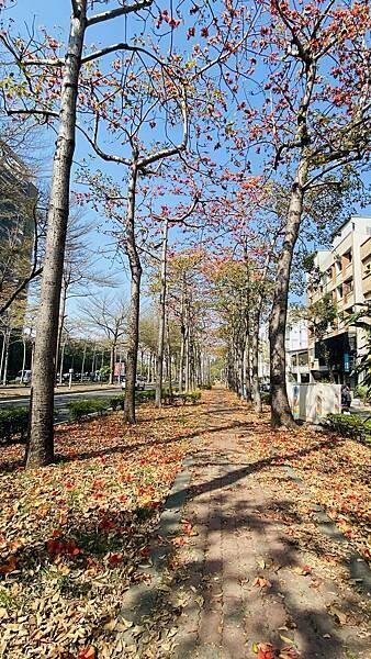 IMG_6499.jpg IMG_6499.jpg