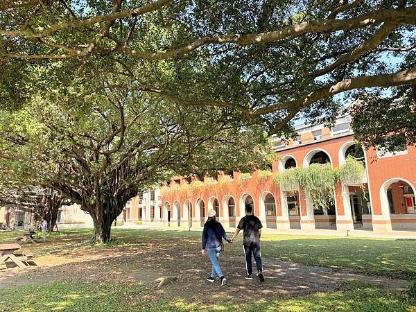 IMG_6504.JPG IMG_6504.JPG