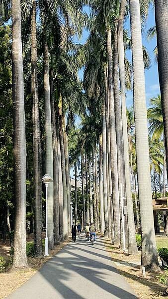 IMG_6473.jpg IMG_6473.jpg