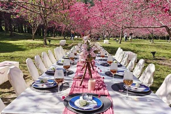 台北大安區壽喜燒！新品牌橋山壽喜燒，關西關東壽喜燒兩種吃法一次滿足。