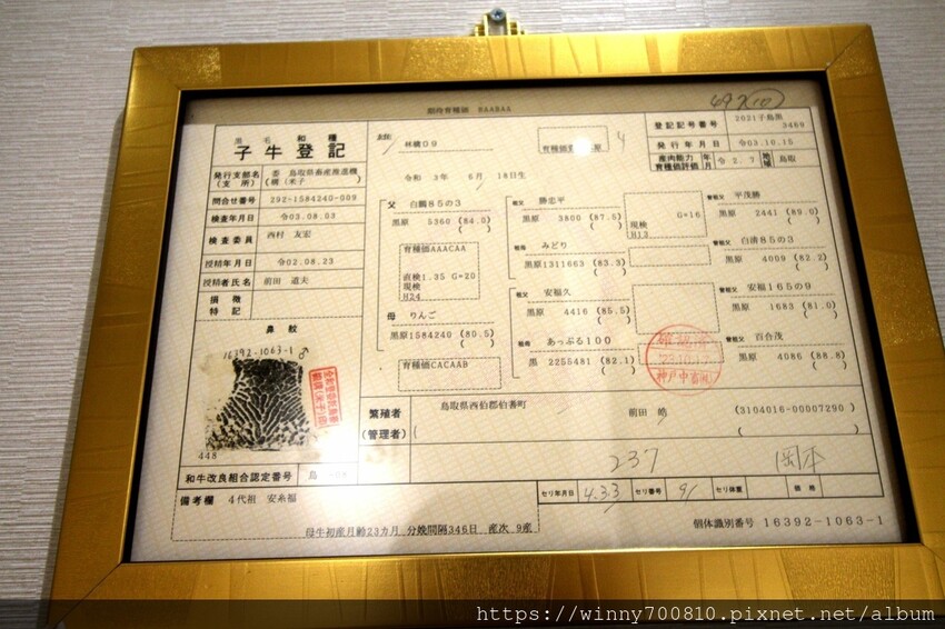 桃園市桃園區今年二月新開幕！桃園很頂的燒肉餐廳～勞斯萊斯級的極致享受！【純水燒肉】日本空運來台的頂級A5黑毛牛，只