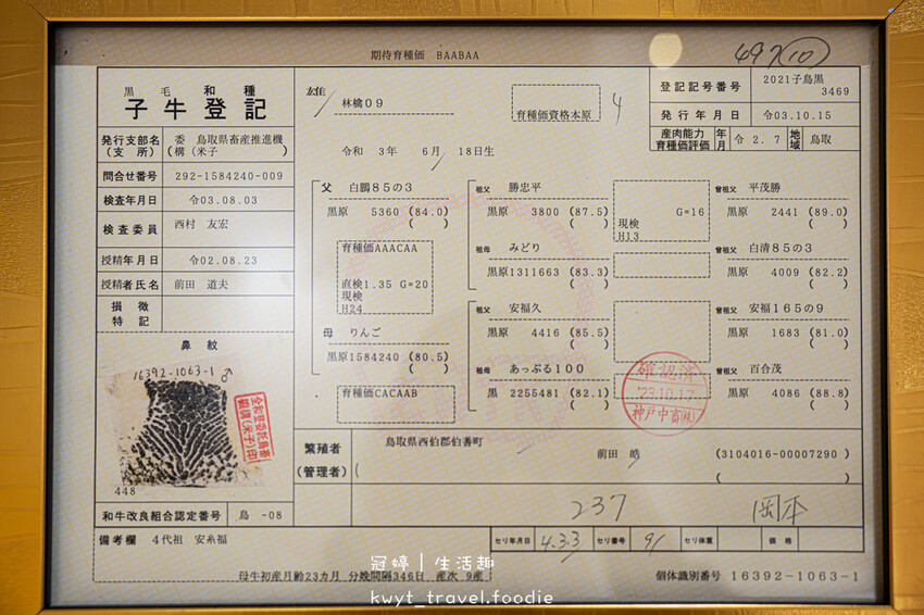 桃園燒肉餐廳推薦_純水燒肉，燒肉自己烤6折！日本A5和牛專賣，松露醬無限續，桃園包廂餐廳推薦_2025菜單 – 冠婷生活趣