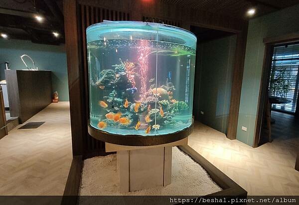 捷運松江南京站美食~土狗樂市 樂涮海鮮火鍋 浮誇又專業的海鮮 捷運松江南京站美食~土狗樂市 樂涮海鮮火鍋 浮誇又專業的海鮮