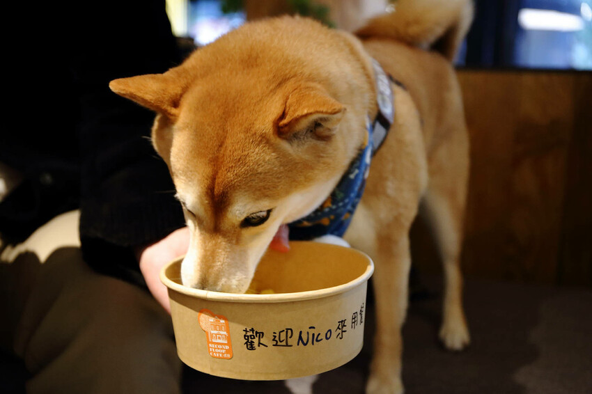 貳樓林口露營概念店新開幕!城市偽露營!在城市中也能享受享受 貳樓林口露營概念店新開幕!城市偽露營!在城市中也能享受享受