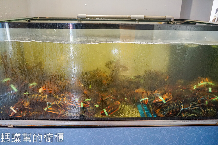 明水然・樂新竹林森店 | 新竹約會慶生餐廳,幾乎零負評無菜單鐵板燒。 - 螞蟻幫的櫥櫃