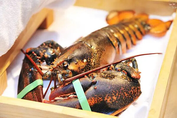 明水然.樂,Google評論4.8高分!無菜單鐵板燒桃竹苗唯 明水然.樂,Google評論4.8高分!無菜單鐵板燒桃竹苗唯