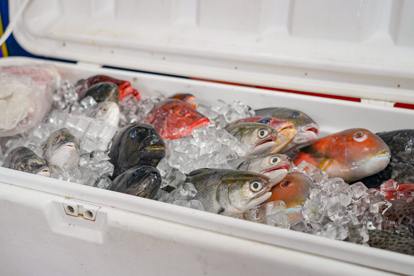 桃園市龜山區美食-阿順現撈海產