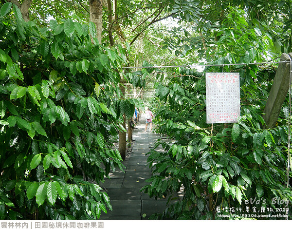 田園秘境休閒咖啡果園-34.jpg