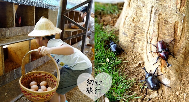 台中市中區挪威森林行旅3號館》親子旅店4人房不用2000元，近台中車站、台中轉運站