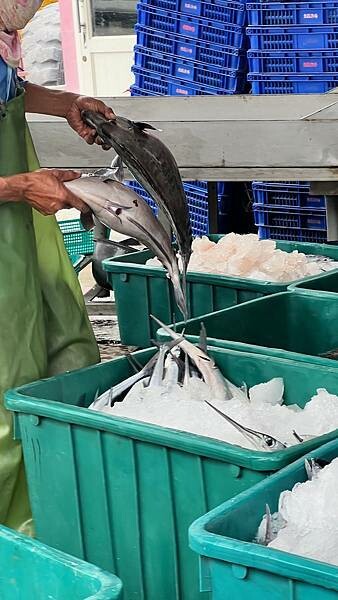 IMG_3310.JPG IMG_3310.JPG