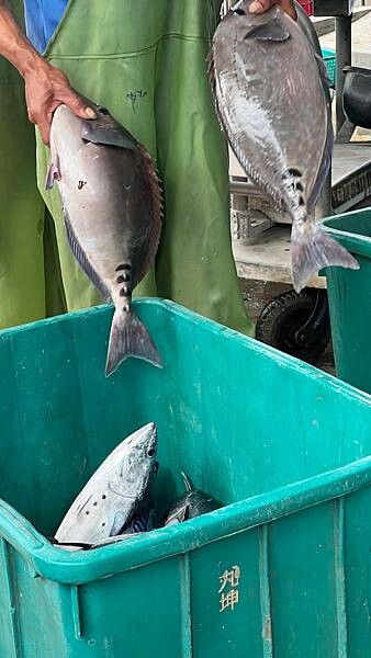 IMG_3309.JPG IMG_3309.JPG