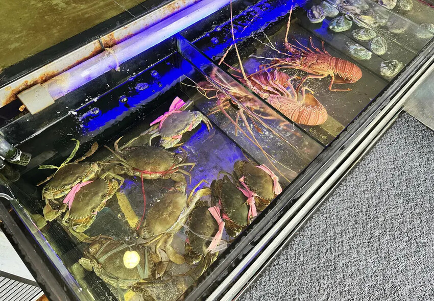 【宜蘭必吃】宜蘭5元生魚片！不用跑到屏東在礁溪江家深澳小漁村