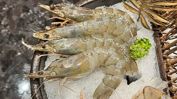 LINE_ALBUM_壹之壹_241107_167