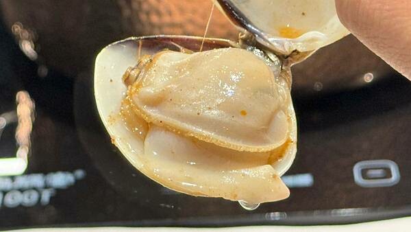 LINE_ALBUM_壹之壹_241107_150