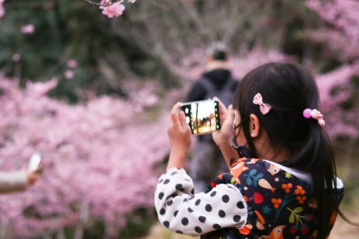 高雄。旗津》旗后活海產店。海產一條街上的40年老店