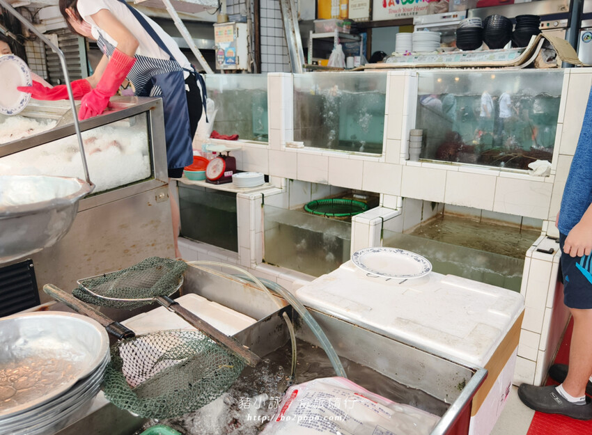 高雄。旗津》旗后活海產店。海產一條街上的40年老店
