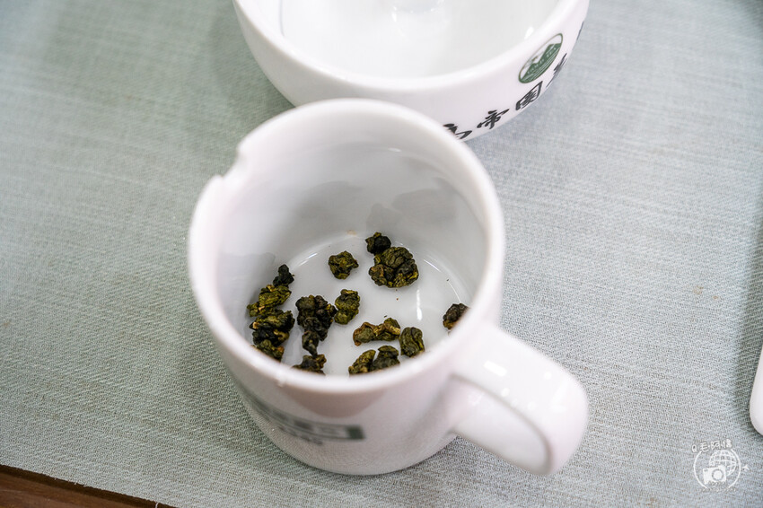 嘉義縣梅山鄉高帝園茶業民宿 | 嘉義阿里山瑞里民宿推薦！大房間大視野還有早餐等體驗～