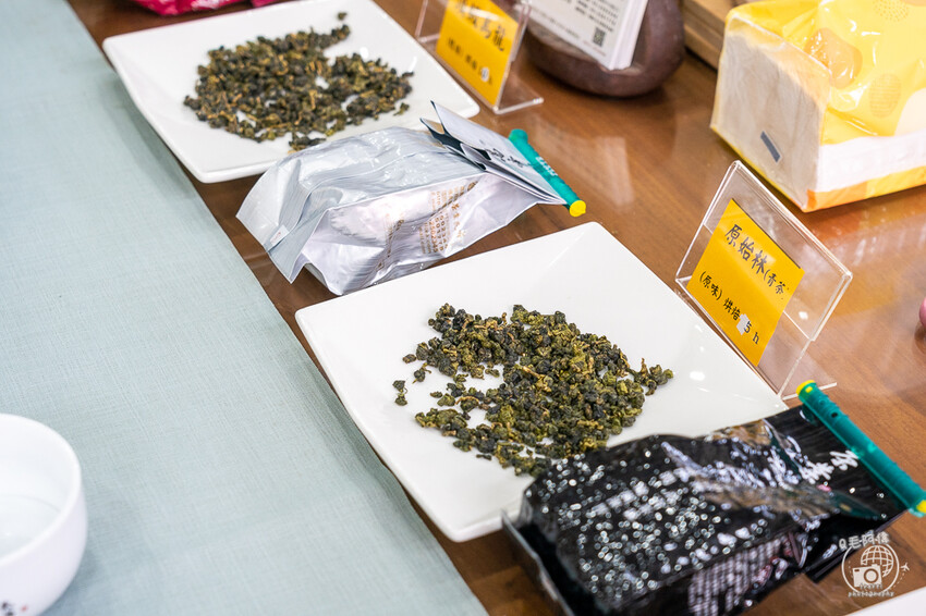 嘉義縣梅山鄉高帝園茶業民宿 | 嘉義阿里山瑞里民宿推薦！大房間大視野還有早餐等體驗～