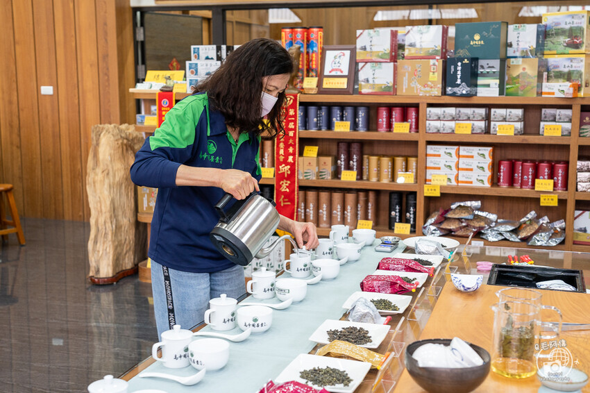 嘉義縣梅山鄉高帝園茶業民宿 | 嘉義阿里山瑞里民宿推薦！大房間大視野還有早餐等體驗～