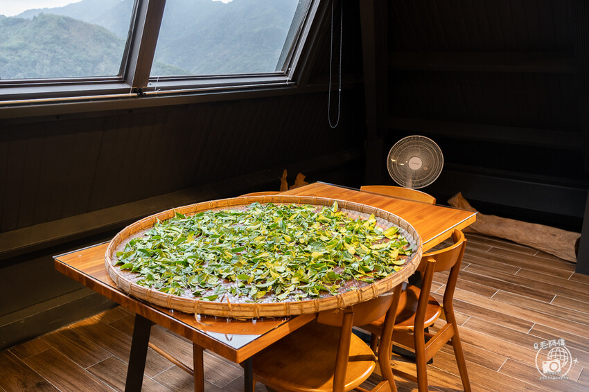 嘉義縣梅山鄉高帝園茶業民宿 | 嘉義阿里山瑞里民宿推薦！大房間大視野還有早餐等體驗～