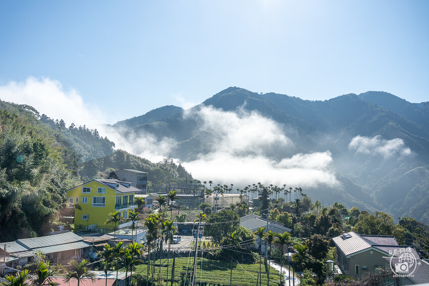 嘉義縣梅山鄉高帝園茶業民宿 | 嘉義阿里山瑞里民宿推薦！大房間大視野還有早餐等體驗～