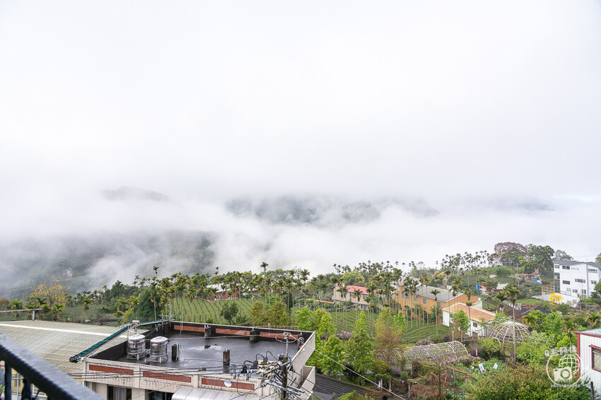 嘉義縣梅山鄉高帝園茶業民宿 | 嘉義阿里山瑞里民宿推薦！大房間大視野還有早餐等體驗～