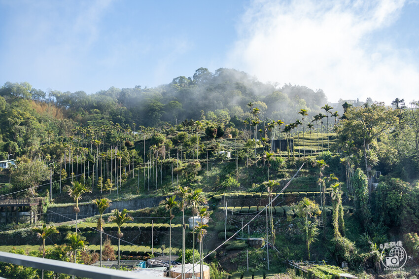 嘉義縣梅山鄉高帝園茶業民宿 | 嘉義阿里山瑞里民宿推薦！大房間大視野還有早餐等體驗～