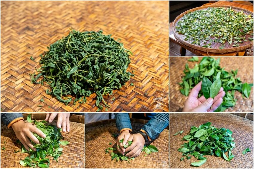 嘉義縣梅山鄉高帝園茶業民宿 | 嘉義阿里山瑞里民宿推薦！大房間大視野還有早餐等體驗～