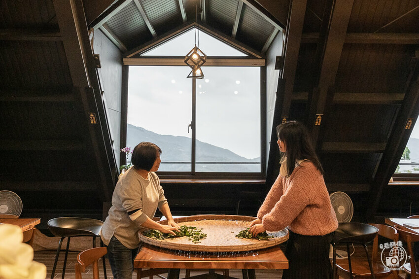 嘉義縣梅山鄉高帝園茶業民宿 | 嘉義阿里山瑞里民宿推薦！大房間大視野還有早餐等體驗～